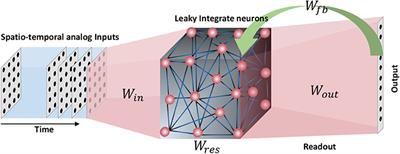 Biologically Plausible Class Discrimination Based Recurrent Neural Network Training for Motor Pattern Generation